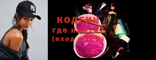 дмт Пересвет