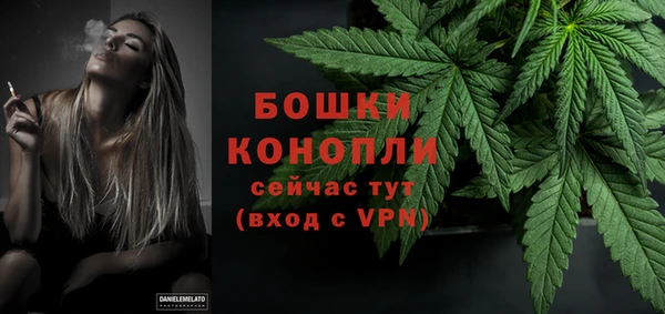 дмт Пересвет